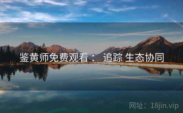 鉴黄师免费观看 ： 追踪 生态协同