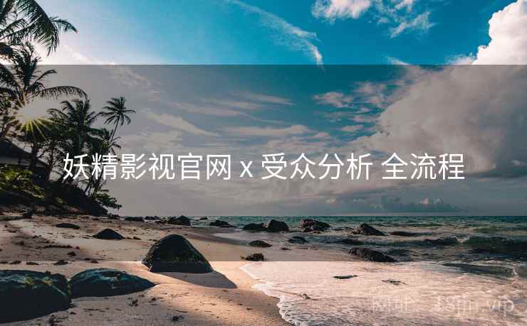 妖精影视官网 x 受众分析 全流程