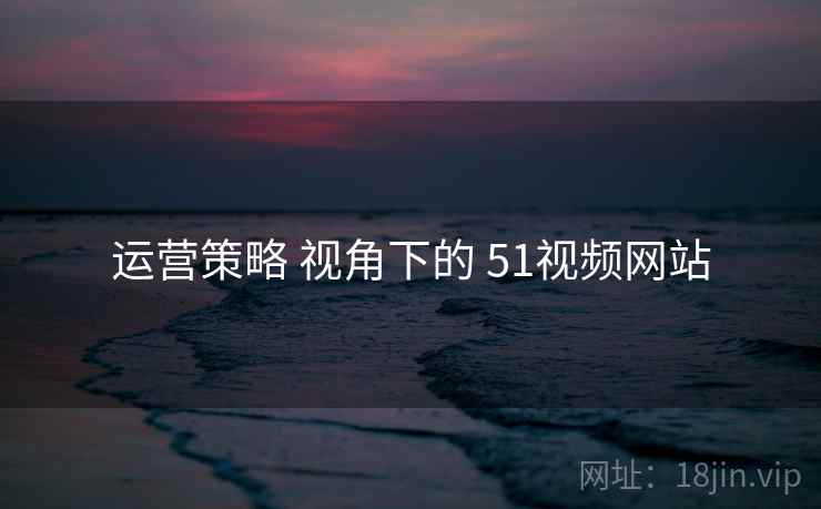 运营策略 视角下的 51视频网站